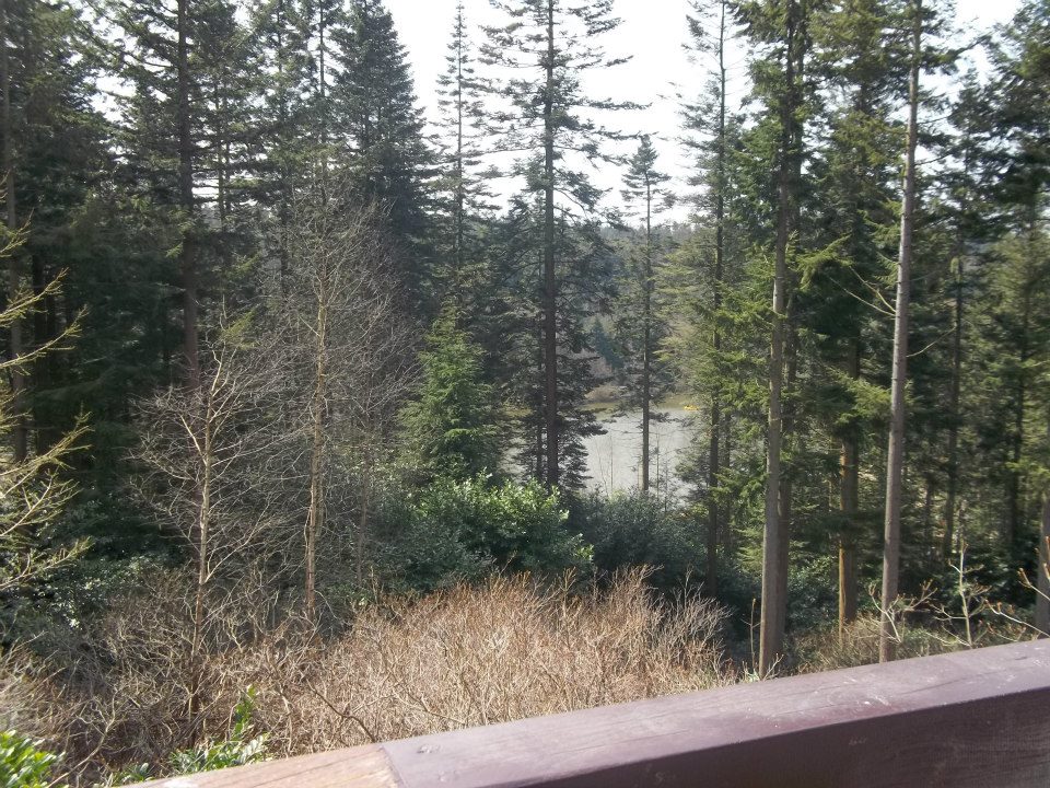 Alternatives to center parcs